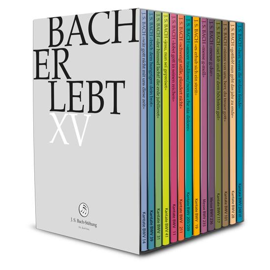 BACH ERLEBT XV J.S. Bach-Stiftung/Lutz,Rudolf
